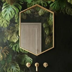 Venice Brushed Brass 500 x 750mm Hexagonal Mirror -Bathroom Mirrors Shop VENHXBRA D3 460